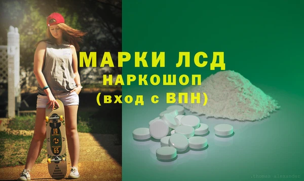 spice Беломорск