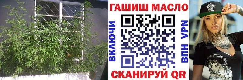 ТГК THC oil  магазин продажи наркотиков  Чегем 