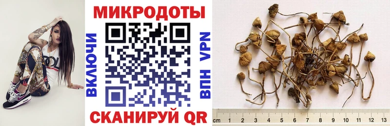 OMG онион  Чегем  Псилоцибиновые грибы ЛСД  закладка 